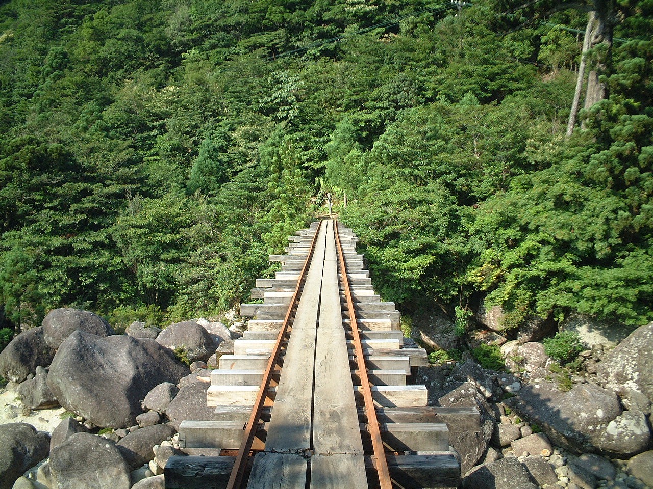 初心者歓迎！「AIって何？」から始めてみませんか？　AIスキルの学びを！